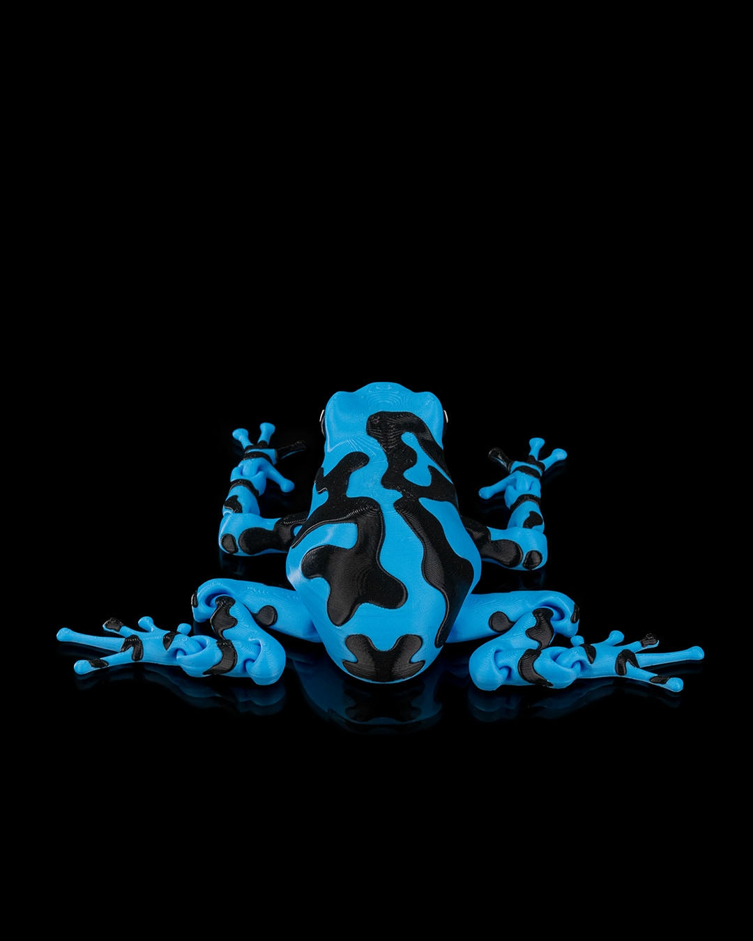 Darcy, The Poison Dart Frog
